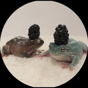 Meet your Posher, Jaymee